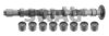 SWAG 30 93 3199 Camshaft Kit